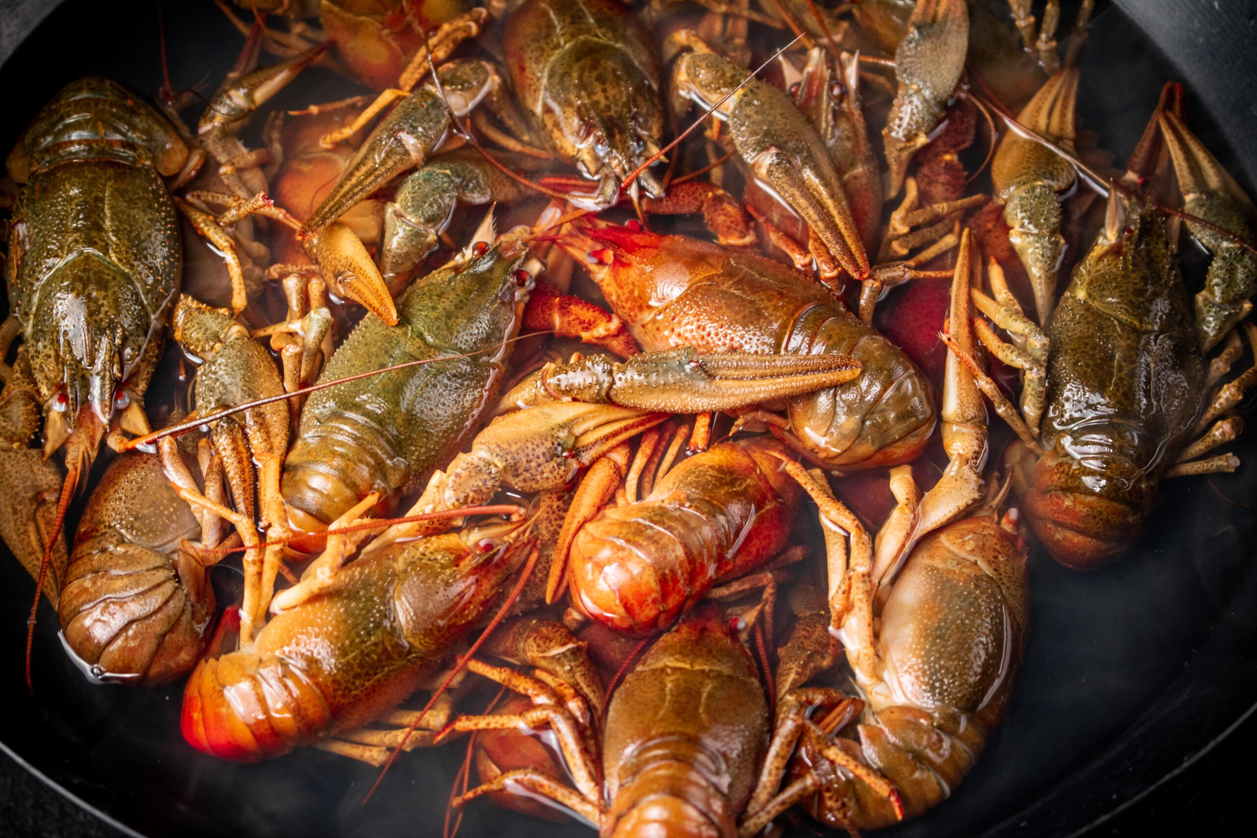 a-bunch-of-fresh-crayfish-in-a-saucepan-min