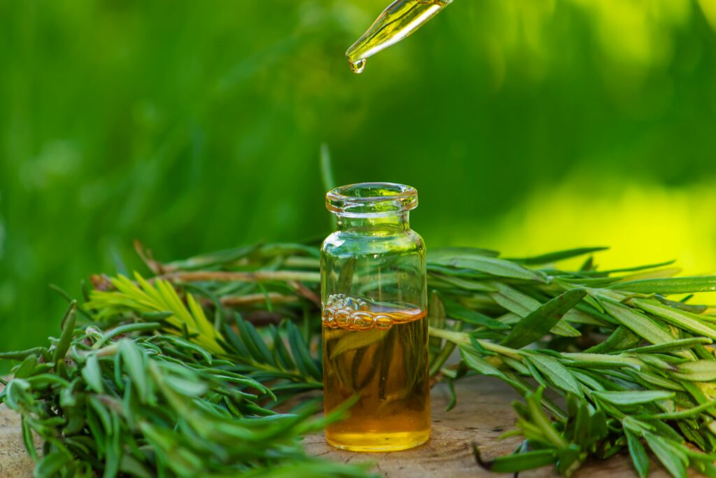 a-bottle-of-rosemary-oil-on-a-tree-stump-essentia-min