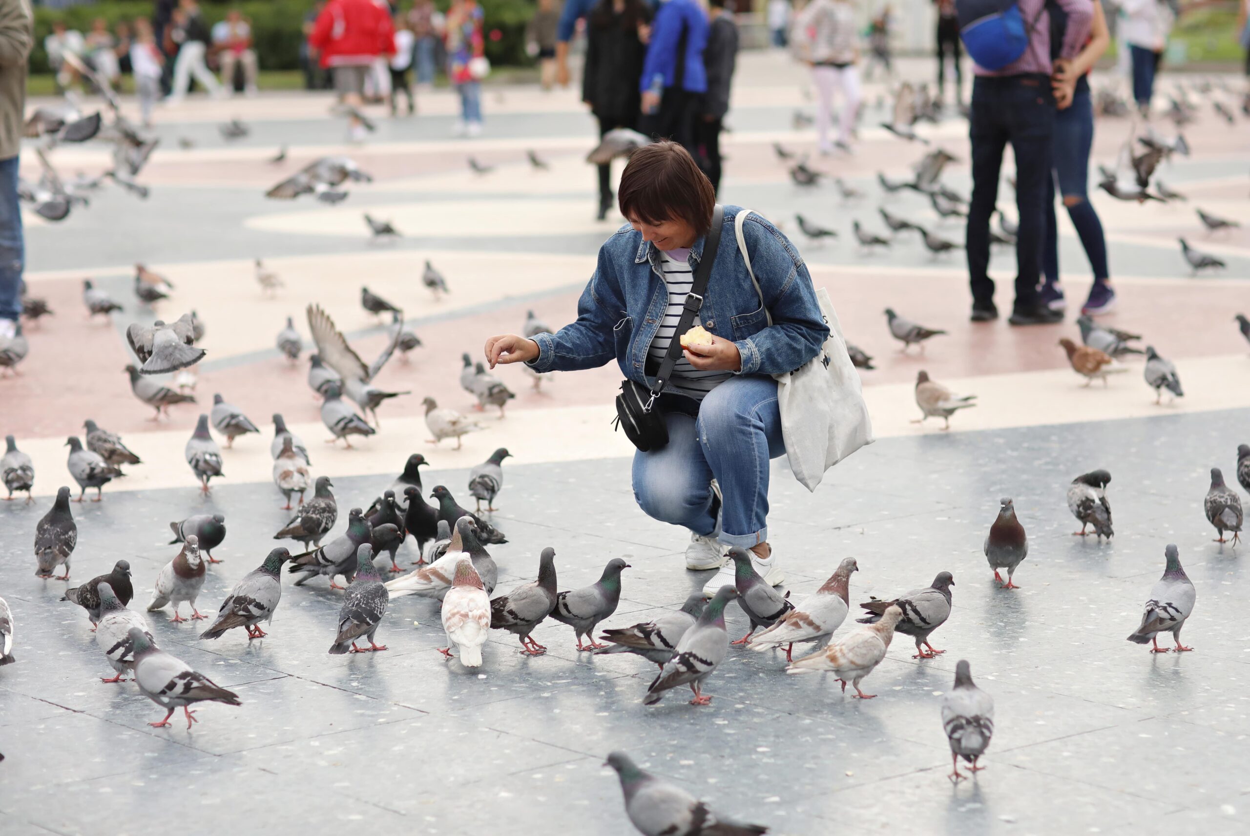 woman-feeding-pigeons-on-square-travel-around-eur-min