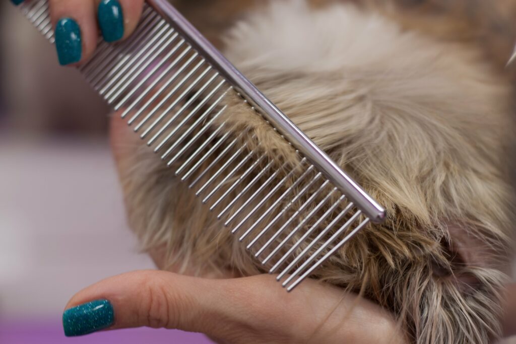 brushing a dog in a grooming salon