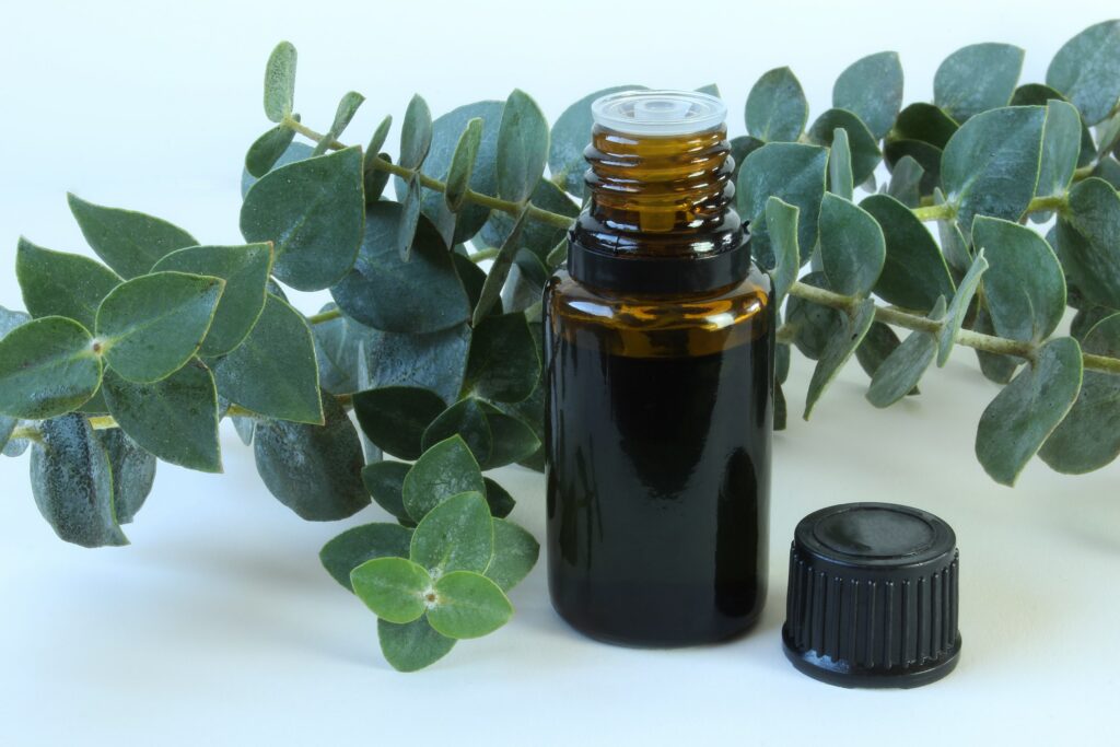 eucalyptus  essential  oil
