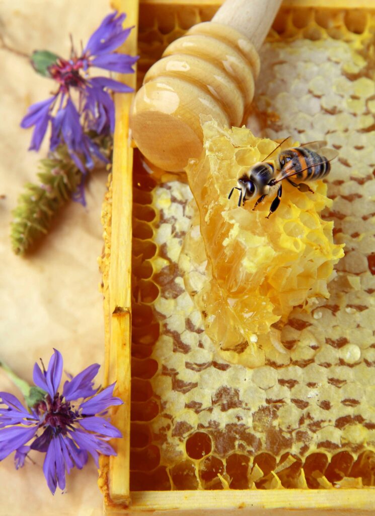 natural organic flower honey honeycomb