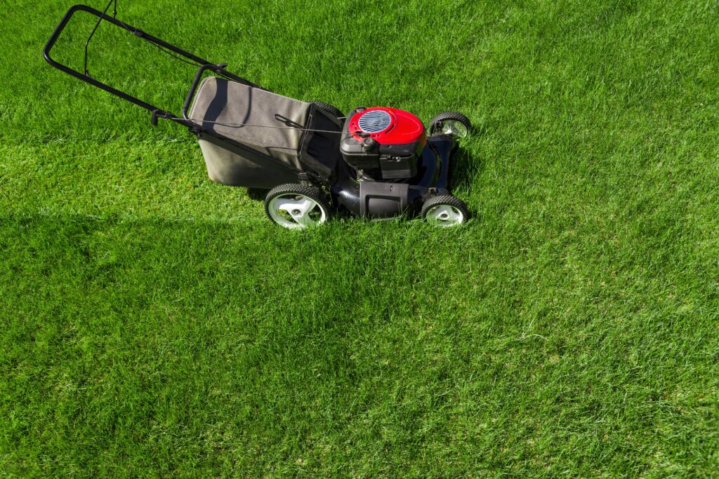 lawn-mower