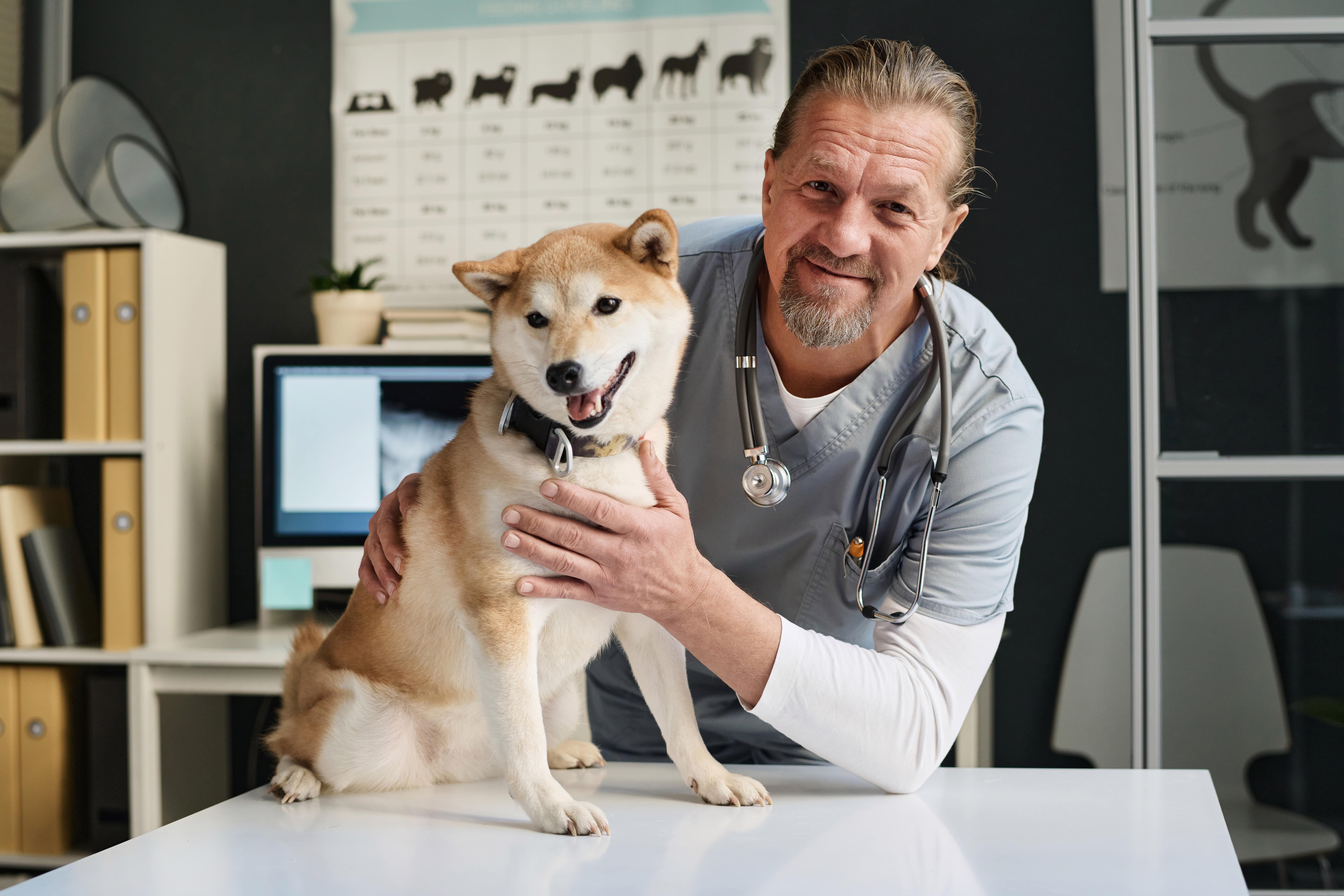 veterinarian-and-his-canine-patient-posing-together